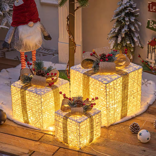 Christmas gift box CM008