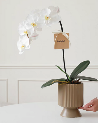 ชุดแจกัน พร้อมดอกไม้ ( CL015 )