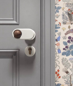 Door knob DS078