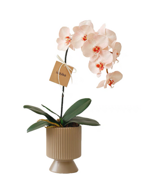 ชุดแจกัน พร้อมดอกไม้ ( CL015 )