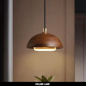 โคมไฟติดเพดาน  LM244