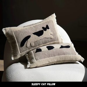 หมอนอิง PL019