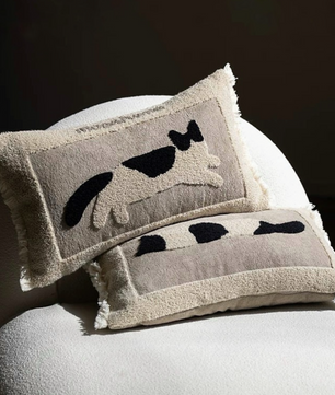 หมอนอิง PL019