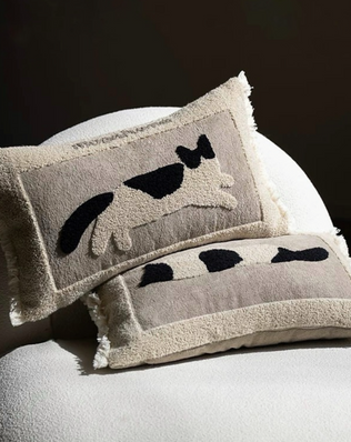 หมอนอิง PL019