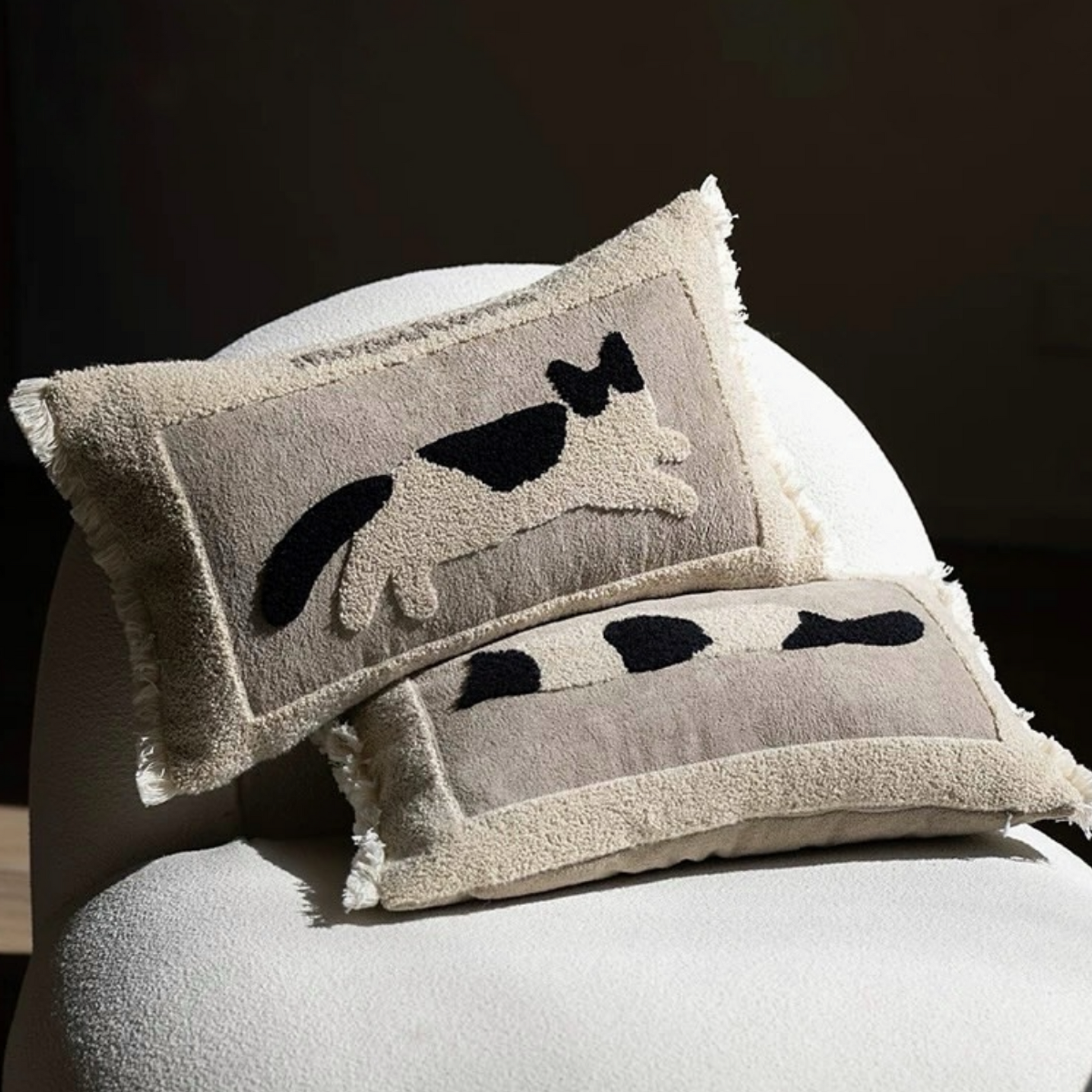 หมอนอิง PL019