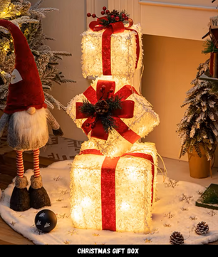 Christmas gift box CM008