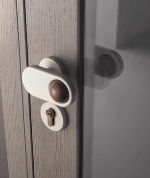 Door knob DS078