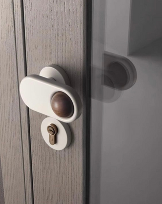 Door knob DS078