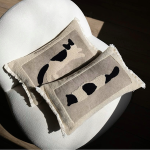 หมอนอิง PL019