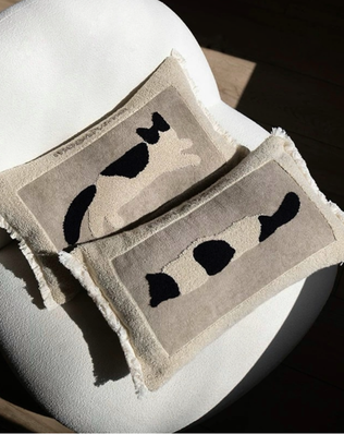 หมอนอิง PL019