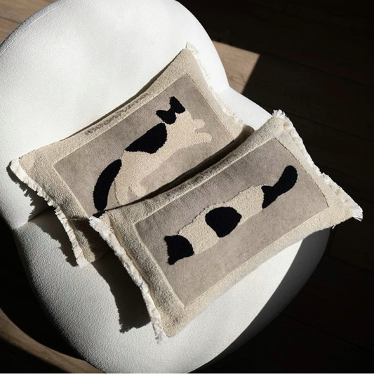 หมอนอิง PL019