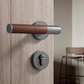 Door knob DS073