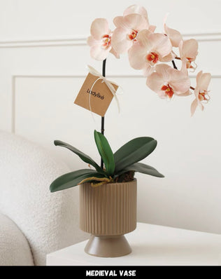 ชุดแจกัน พร้อมดอกไม้ ( CL015 )