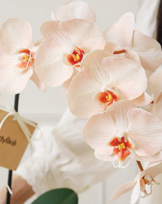 ชุดแจกัน พร้อมดอกไม้ ( CL015 )