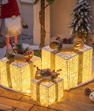 Christmas gift box CM008