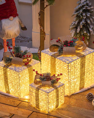 Christmas gift box CM008