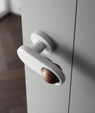 Door knob DS078