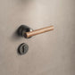 Door knob DS56