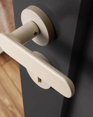 Door knob DS57
