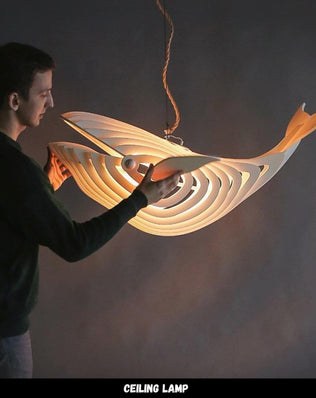 โคมติดเพดาน ( LM071 )