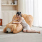สตูลโซฟาหมี CH067